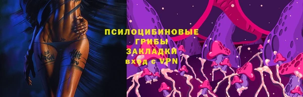твердый Новозыбков