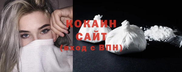 твердый Новозыбков