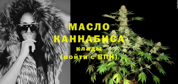 твердый Новозыбков