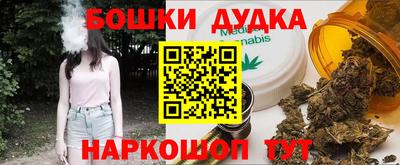 меф Гатчина