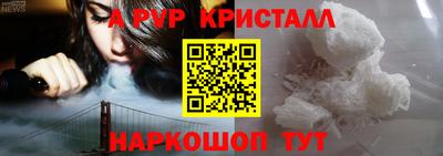 спиды Гагарин