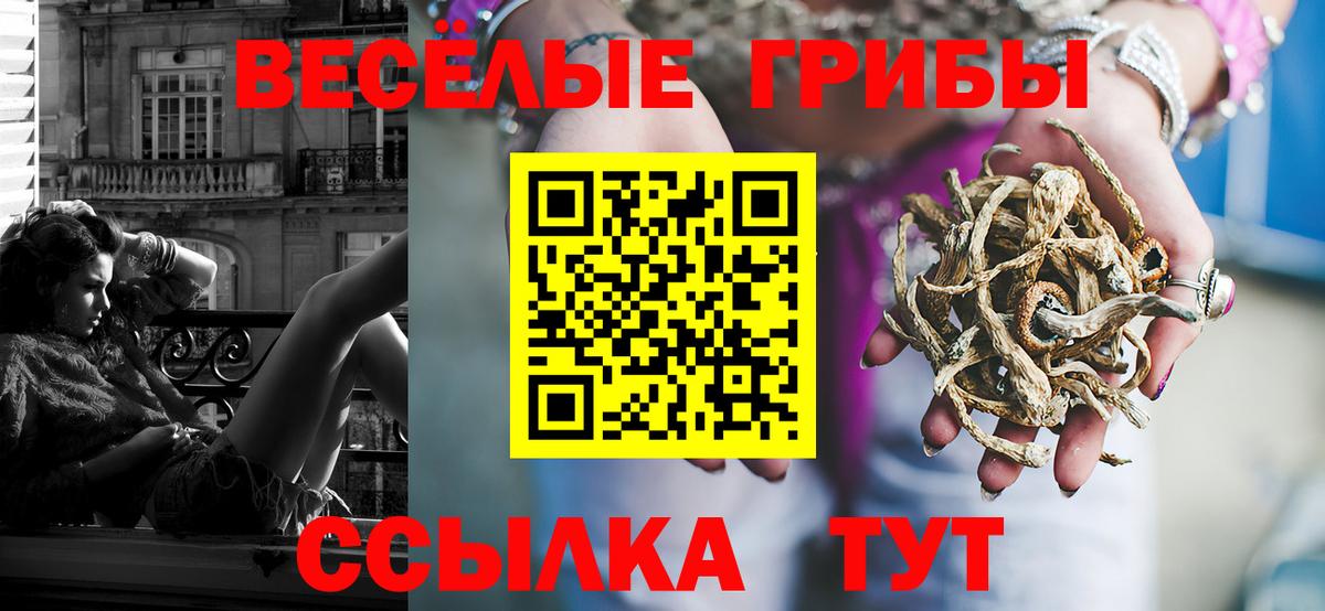 Псилоцибиновые грибы GOLDEN TEACHER Алексин